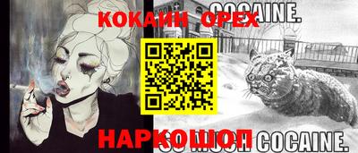 дурь Шелехов