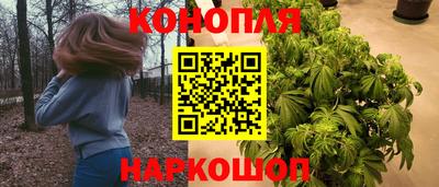 дурь Шелехов