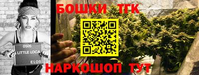 дурь Шелехов