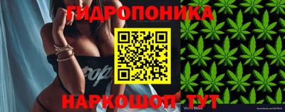 бошки Шебекино