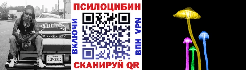 где купить   Пермь  Галлюциногенные грибы Cubensis 