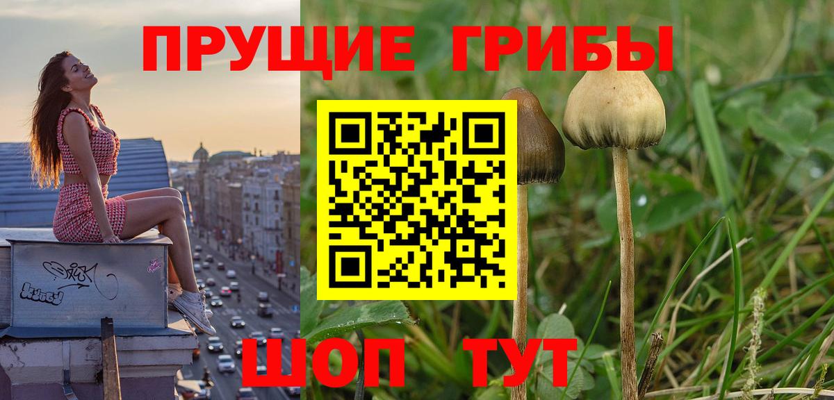 Бошки Шишки Пермь