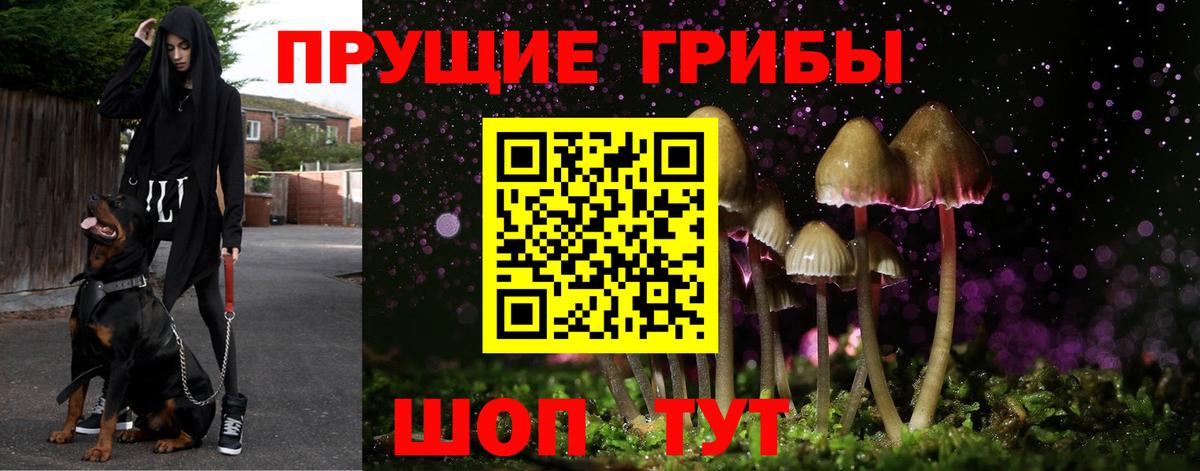 Псилоцибиновые грибы Magic Shrooms  Вход с VPN  Пермь 